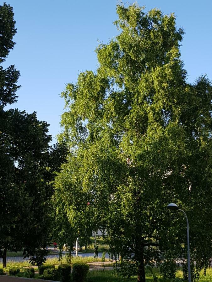 Apartman Tasa Banja Luka Esterno foto